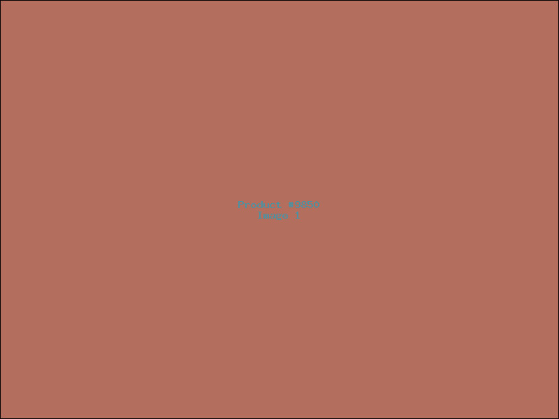Example Product 9850