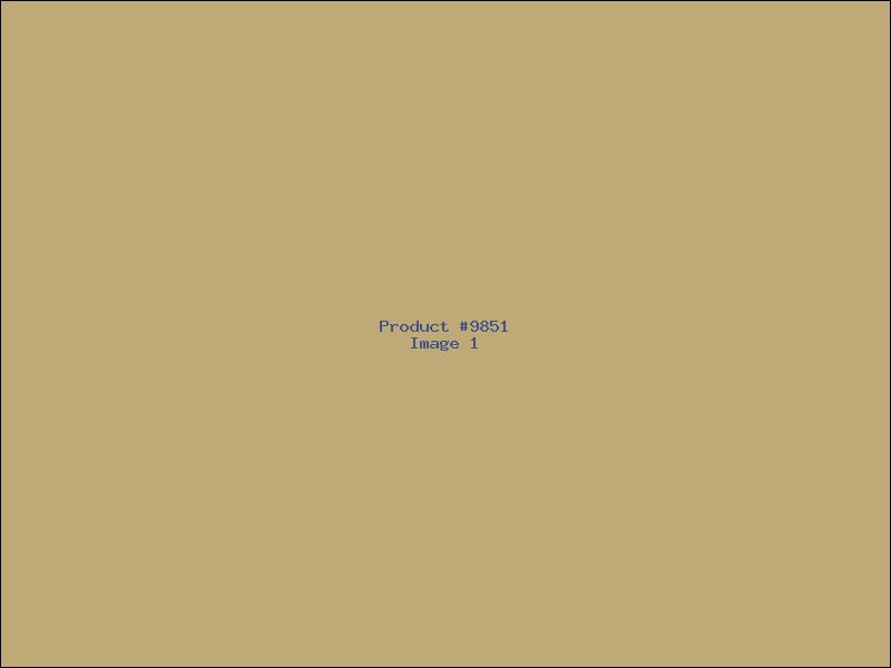 Example Product 9851