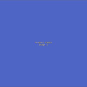 Example Product 9852