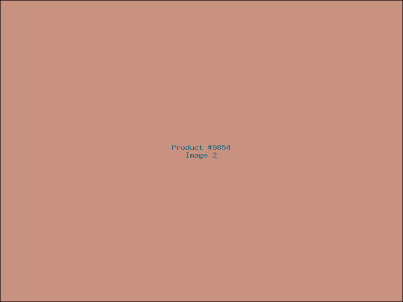 Example Product 9854 - Image 2