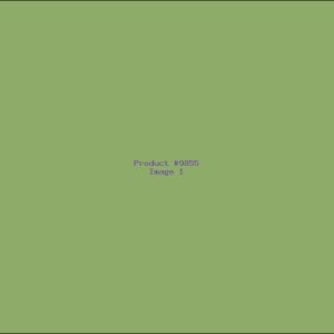 Example Product 9855