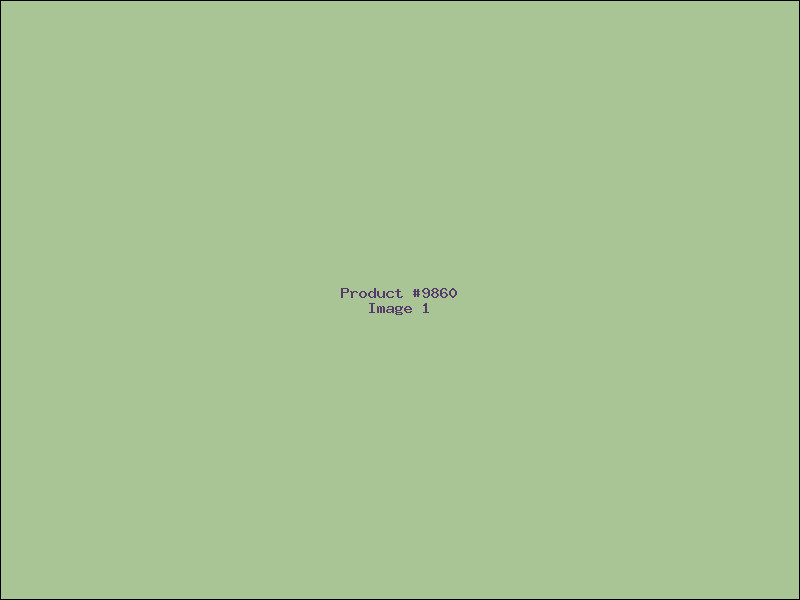 Example Product 9860