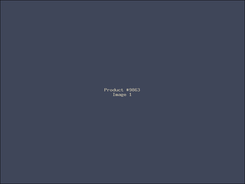 Example Product 9863