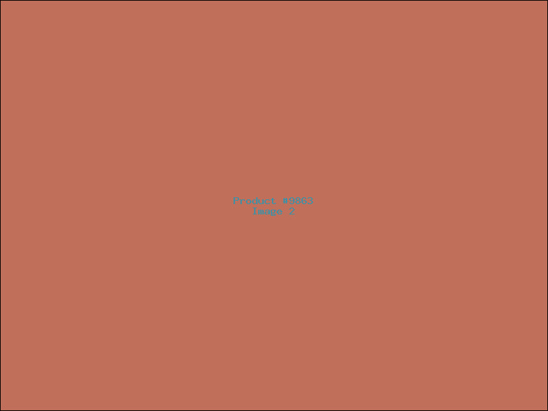 Example Product 9863 - Image 2
