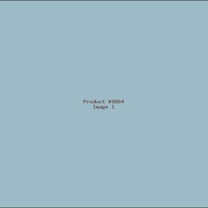 Example Product 9864