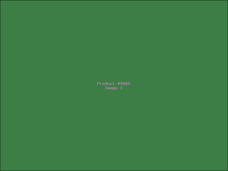 Example Product 9865