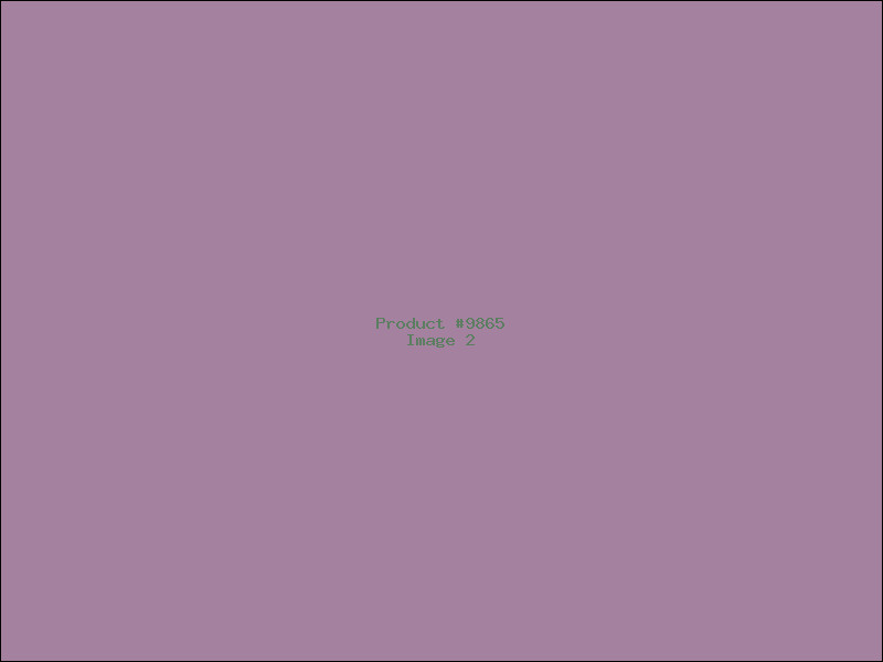 Example Product 9865 - Image 2