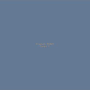Example Product 9869