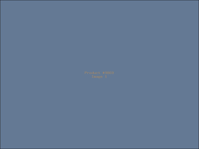 Example Product 9869