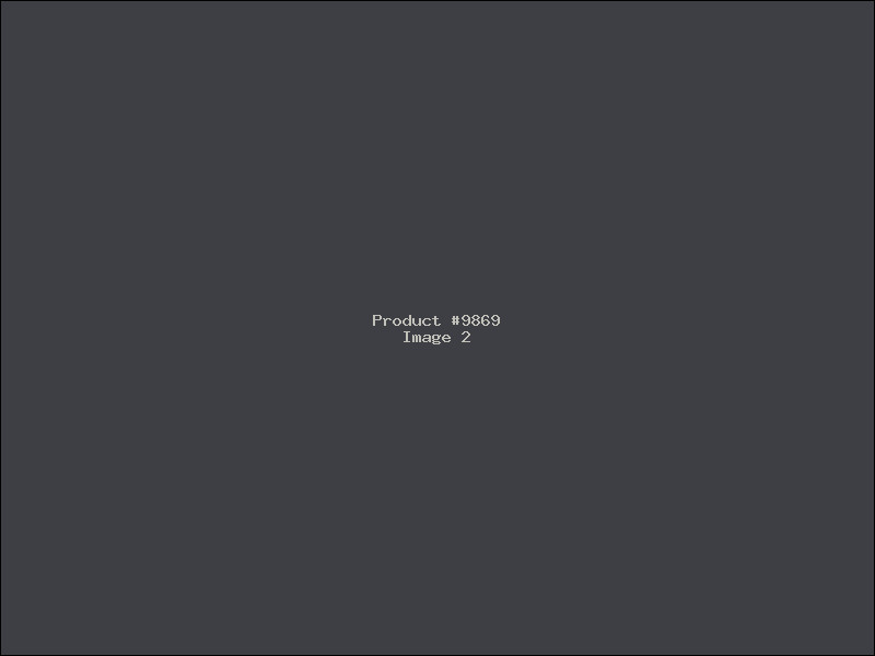 Example Product 9869 - Image 2