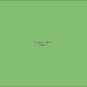 Example Product 9877