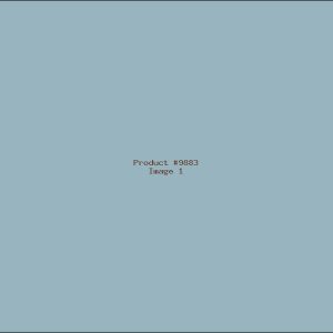Example Product 9883