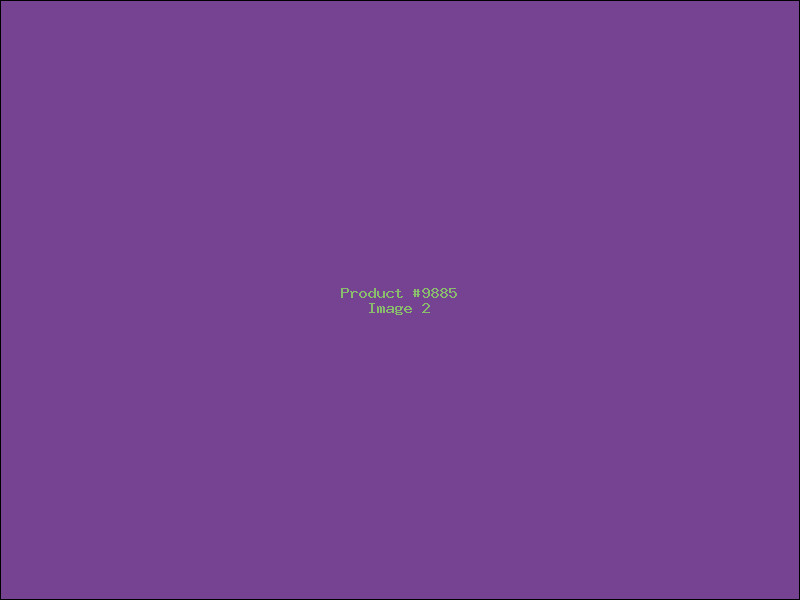 Example Product 9885 - Image 2
