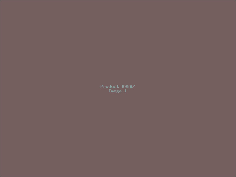 Example Product 9887