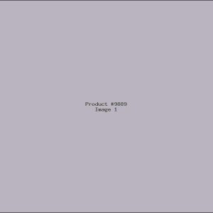 Example Product 9889