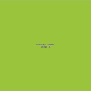 Example Product 9902