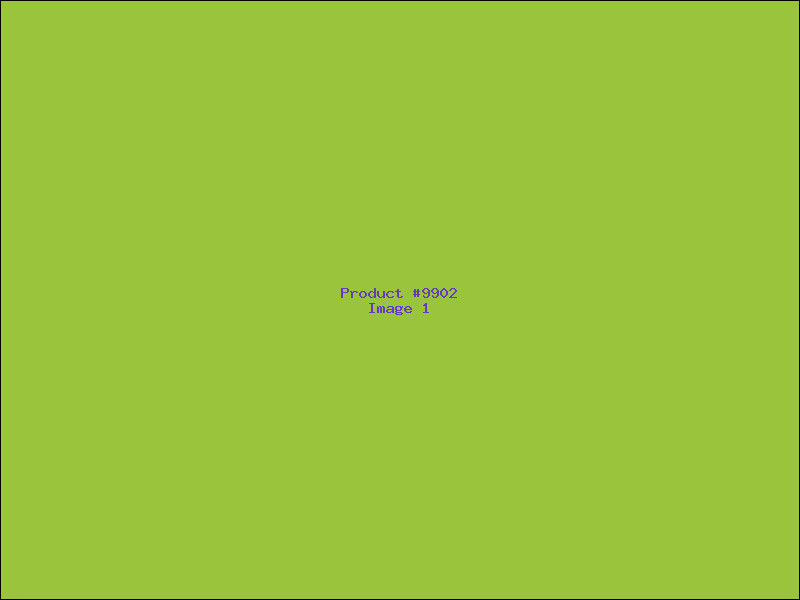 Example Product 9902