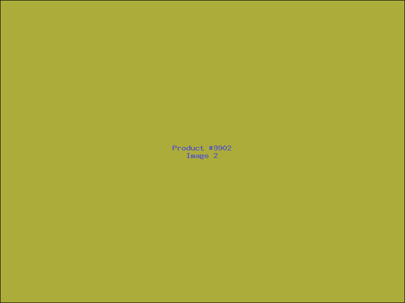Example Product 9902 - Image 2