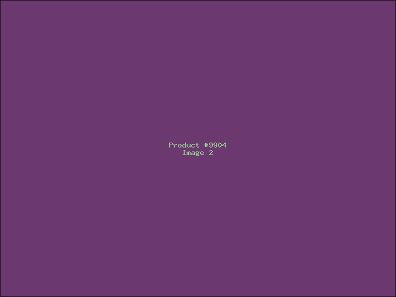 Example Product 9904 - Image 2