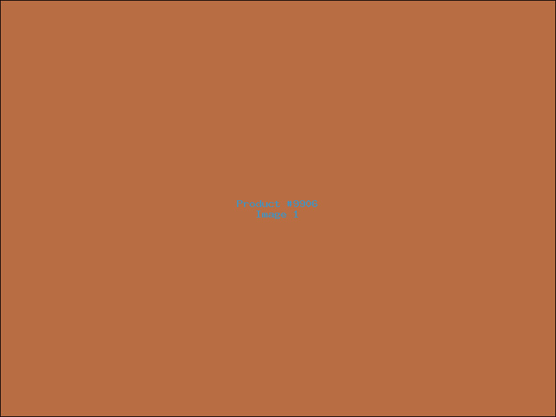 Example Product 9906