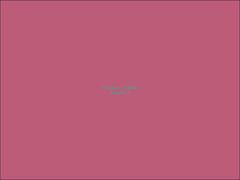 Example Product 9906 - Image 2