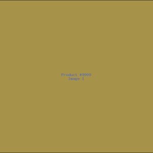 Example Product 9909