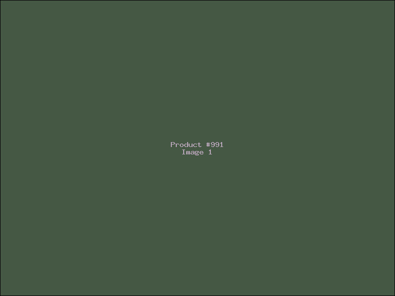 Example Product 991