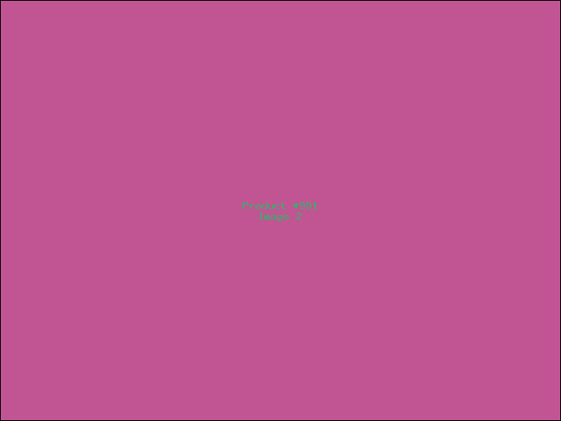 Example Product 991 - Image 2
