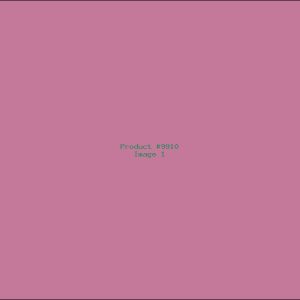 Example Product 9910
