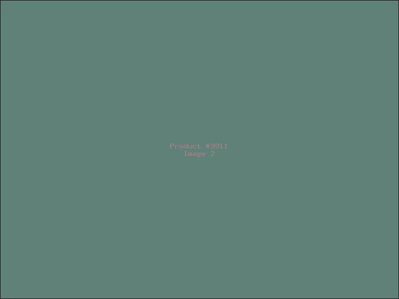 Example Product 9911 - Image 2