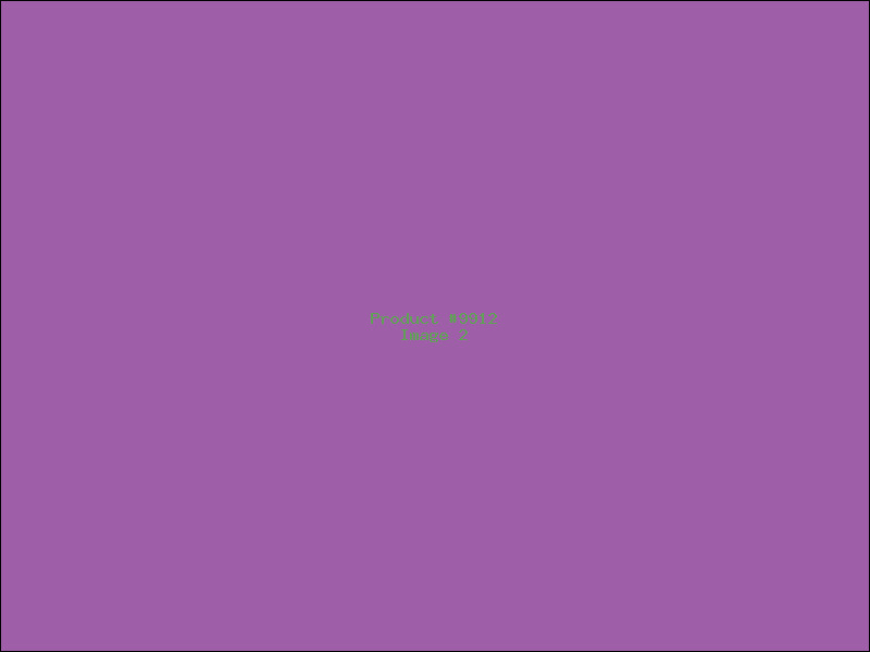 Example Product 9912 - Image 2