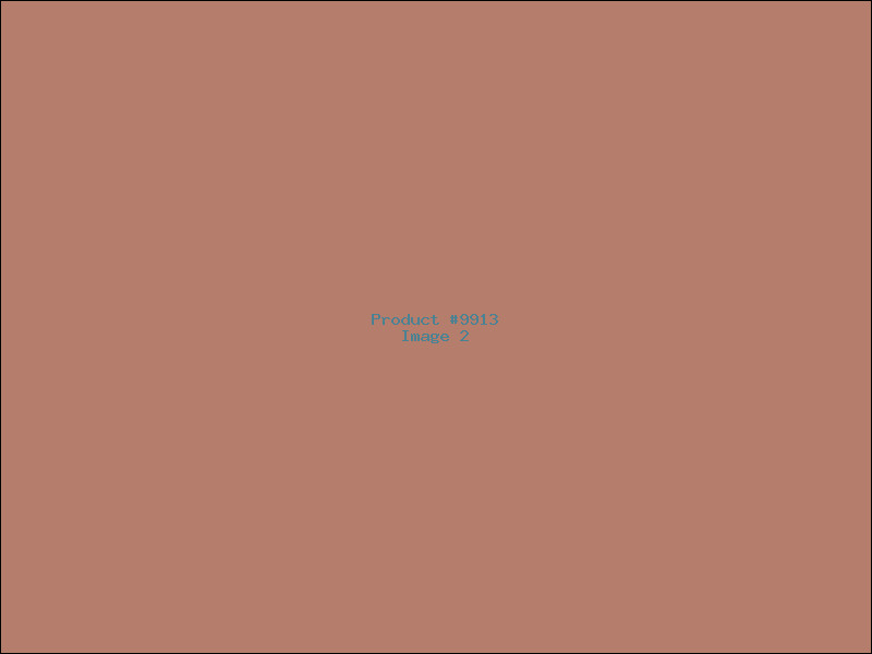 Example Product 9913 - Image 2