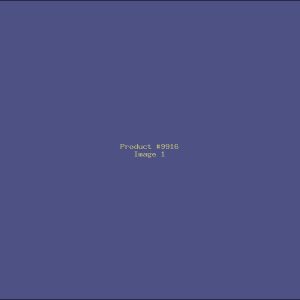 Example Product 9916