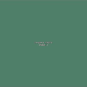 Example Product 9918