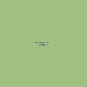 Example Product 9921