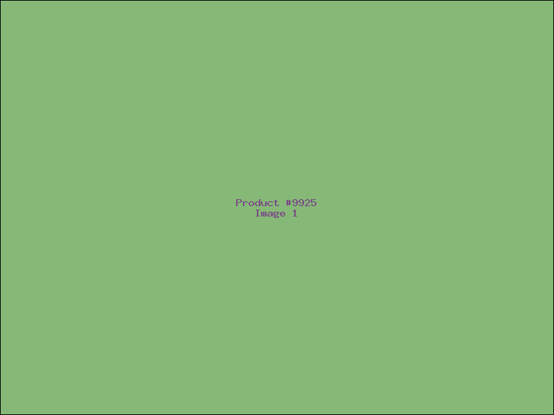 Example Product 9925
