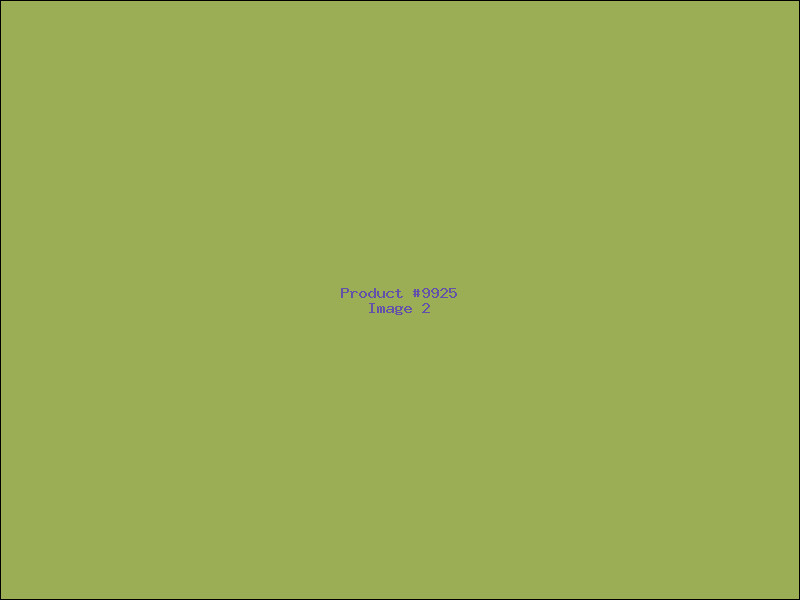Example Product 9925 - Image 2