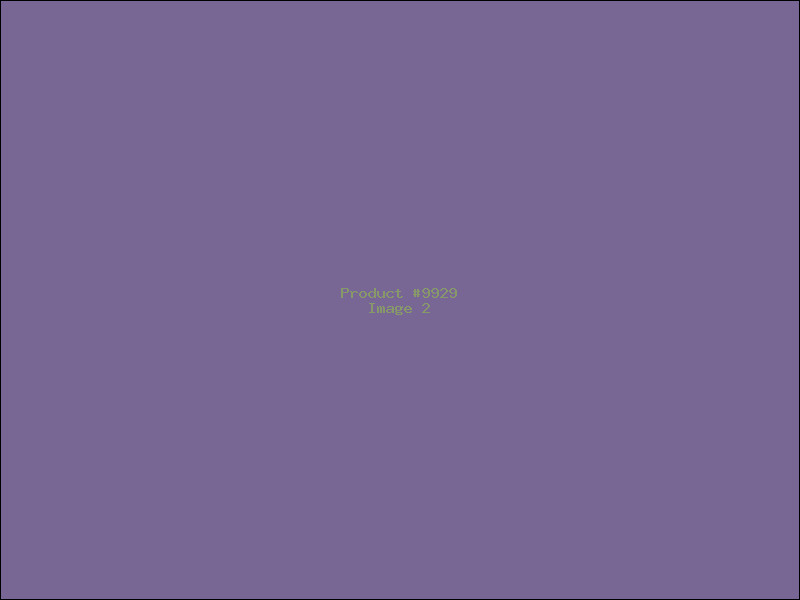 Example Product 9929 - Image 2