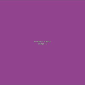Example Product 9933