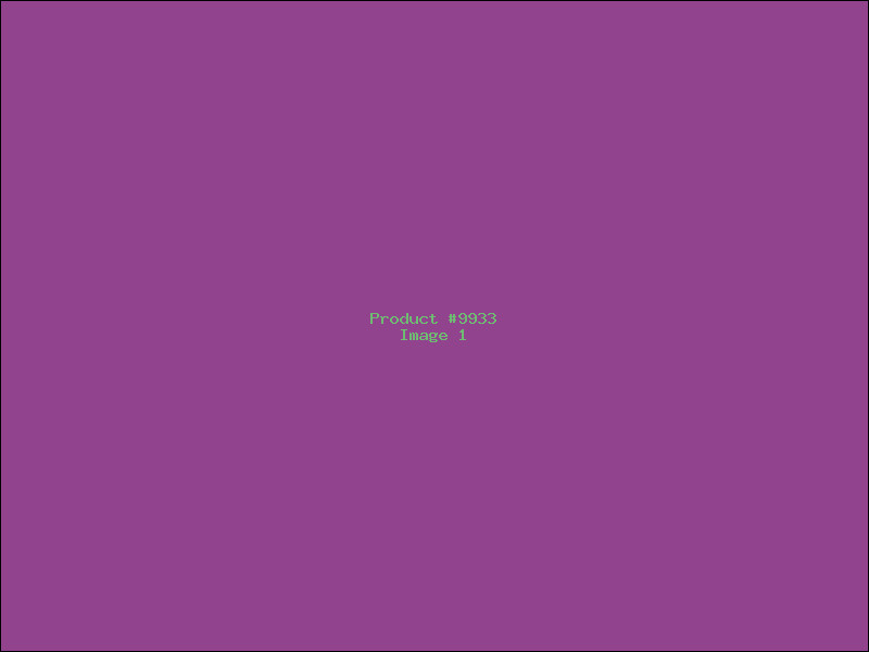 Example Product 9933