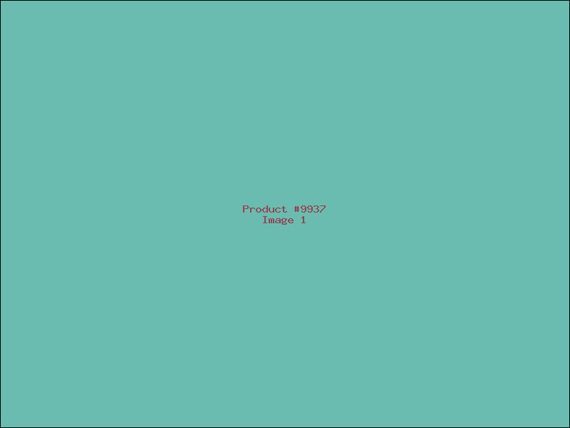 Example Product 9937