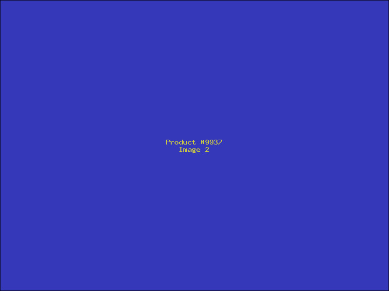 Example Product 9937 - Image 2