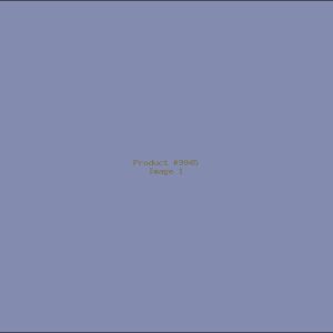 Example Product 9945
