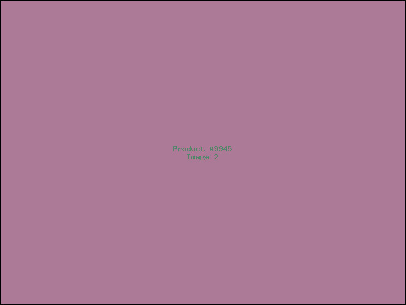 Example Product 9945 - Image 2