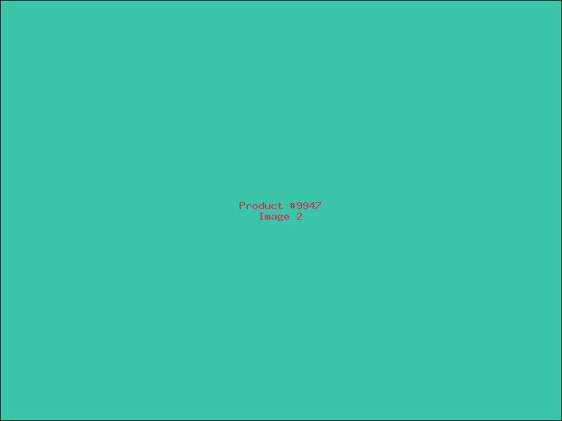 Example Product 9947 - Image 2
