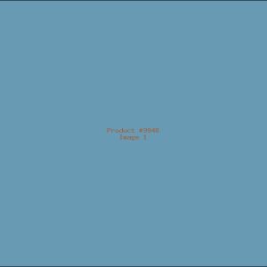 Example Product 9948