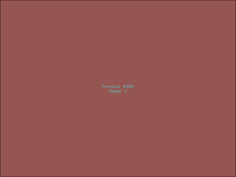 Example Product 995 - Image 2