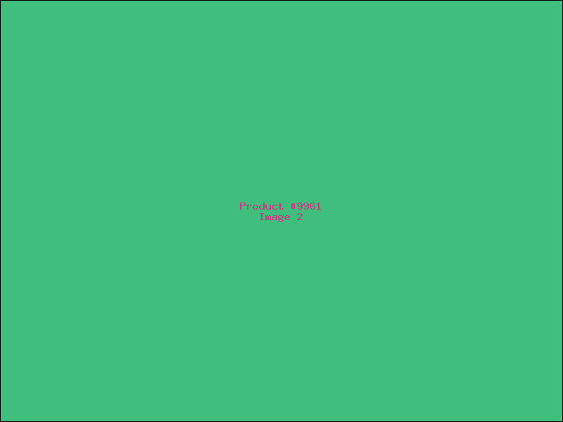 Example Product 9961 - Image 2