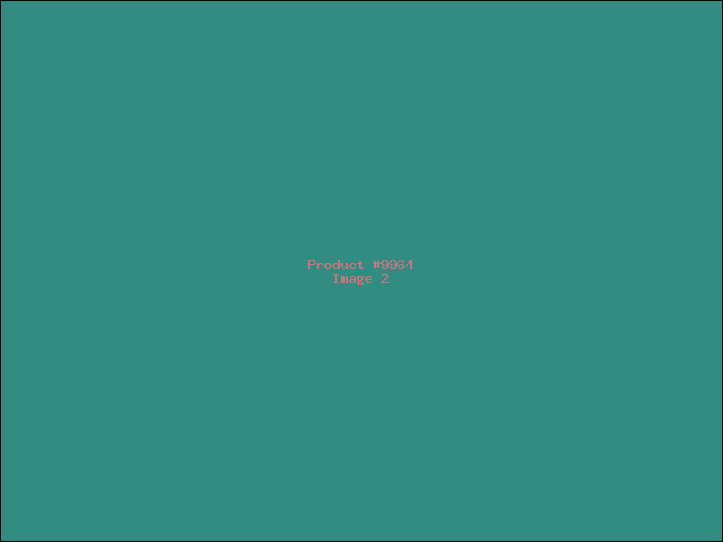Example Product 9964 - Image 2