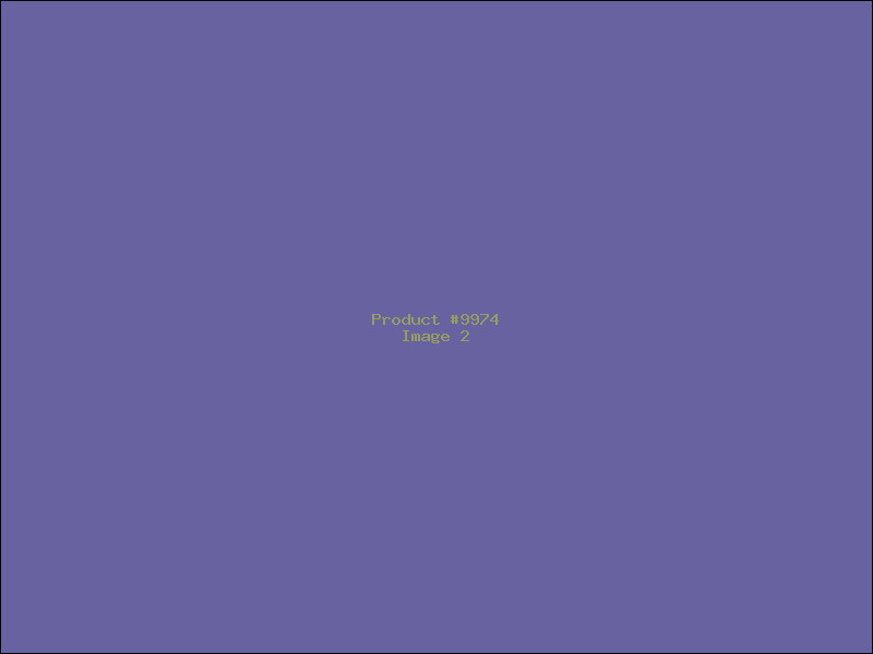 Example Product 9974 - Image 2